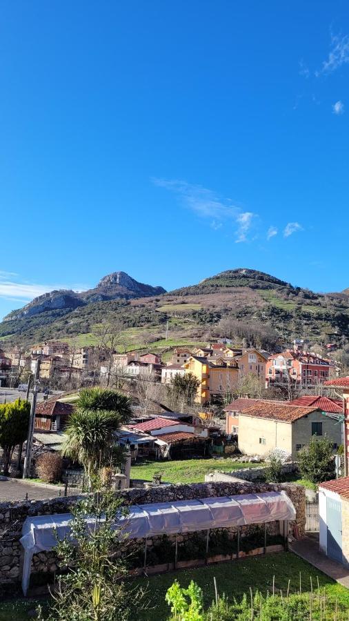 Casa Rural El Torrejon Arenas De Cabrales Dış mekan fotoğraf
